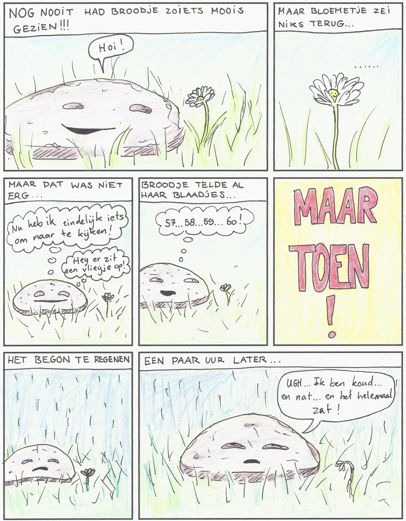 Pagina 2